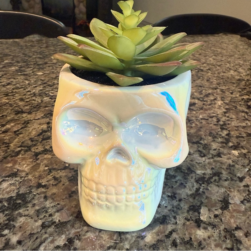 Iridescent Skull Planter with Artificial Succulent